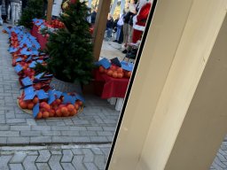 117-23-12-2025 IMG_3278